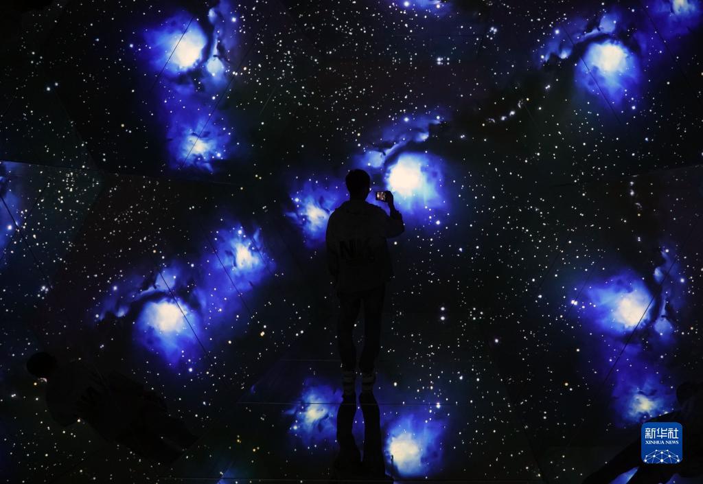 玩飞禽走兽
